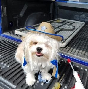 Meet your Posher, Thomas